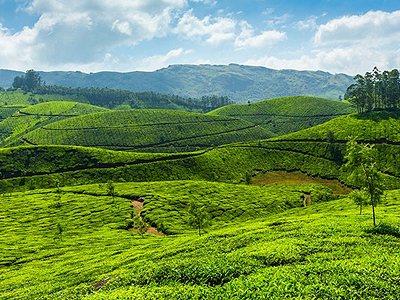 Munnar